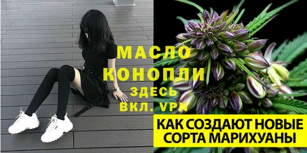 амф Майский