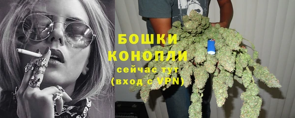 МДМА Бикин